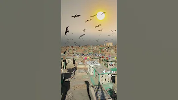 نايم بحضن المكابر 