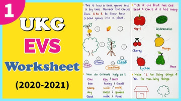 EVS Worksheet for UKG । UKG EVS Worksheet । UKG EVS Syllabus । Part 1