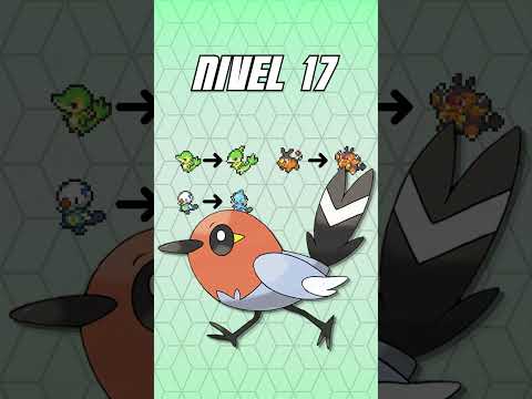 Vídeo: A quin nivell evoluciona seel?