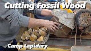 Looking At and Cutting Fossil Wood by Camp Lapidary 2,227 views 1 month ago 23 minutes