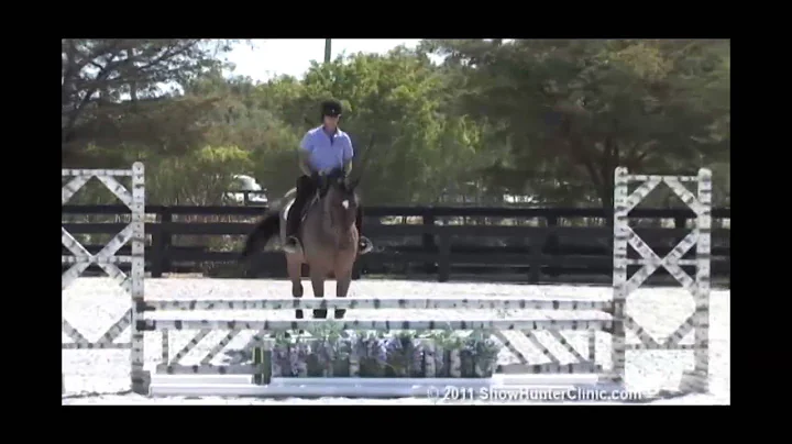 ShowJumperClinic...  Presents Sandy Ferrell Riding...