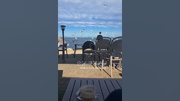 سورة الفاتحة ♡ القارئ طارق محمد ♡
