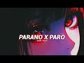 Parano X Paro Slowed Reverb Edit Audio 