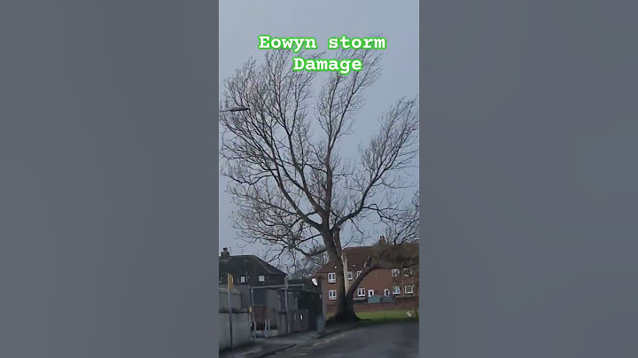 Tree split #tree #eowyn #storm #Scotland #UK #heavy #strong #wild #wind #shorts #nature #calamity
