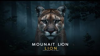 5 Secrets Mountain Lion Experts Use to Track Americas Most ELUSIVE Predator
