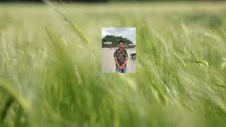 Lab 1 Motion Graphics