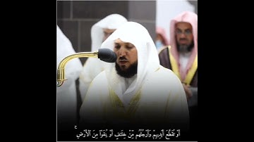 قبس من تلاوة فضيلة الشيخ د. ماهر المعيقلي بـ المسجد الحرام ⁧من ليلة 8 رمضان 1443هـ