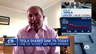 Musk's Twitter deal has been a laggard on Tesla stock, says Wedbush's Dan Ives