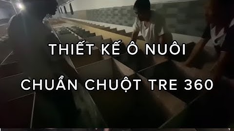 THIẾT KẾ Ô NUÔI CHUẨN NHẤT 2022 CHO DÚI MỐC - DÚI MÁ ĐÀO - PHÂN CHIA KHOA HỌC CHO TƯƠNG LAI
