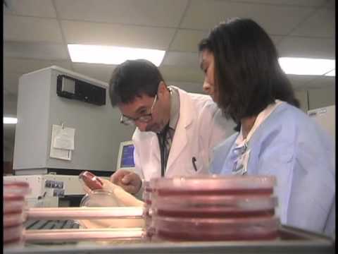 How Long Does Mononucleosis Last Video - YouTube