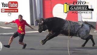 Tourada à corda in São Mateus, 19 June 2019