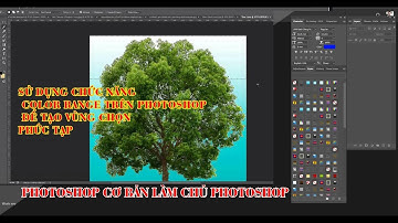 Sử dụng chức năng Color range trên photoshop  để tạo vùng chọn phức tạp