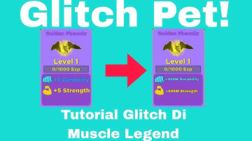 Cara Glitch Pet Di Muscle Legend