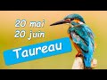  taureau   20 mai au 20 juin