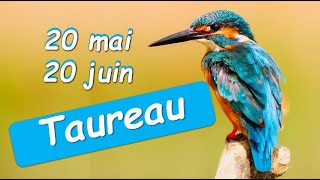 ♉️ TAUREAU 🐂 - 20 mai au 20 juin