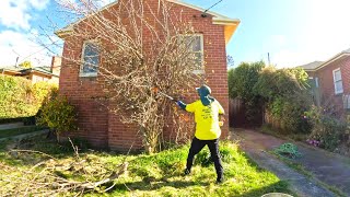 Incredible Yard RENOVATION (Surprising a Young Couple with a FREE Makeover)!