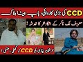 Arshman Niazi S Father And Brother Killed In A Quick Incident Of CCD Police CCD Action In Lahore Arshman Niazi S Father And Brother Killed In A Quick Incident Of CCD Police CCD Action In Lahore