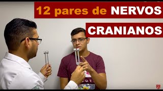 12 pares de nervos cranianos