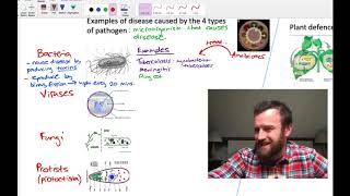 Pathogens and Immunity (OCR A Level Biology 4.1)