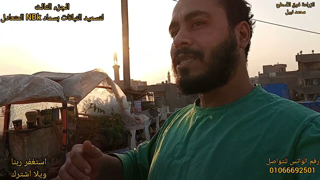 الجزء الثالث لتسميد النباتات بسماد NBK20/20/20 متعادل #garden #زراعت #gardening 