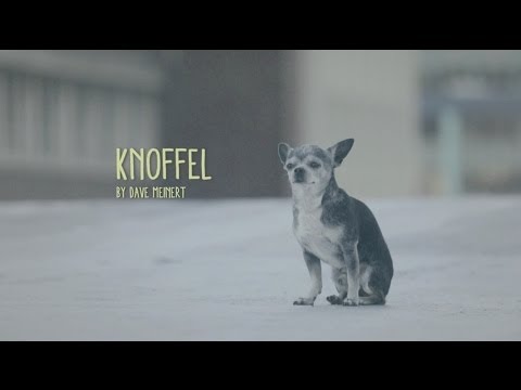 Video: Knoffel - Natuurwonder