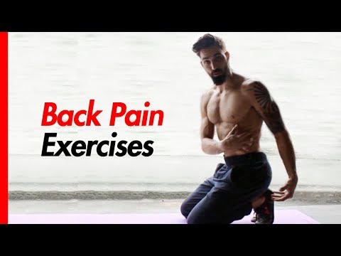 Back Pain Relief Exercises (3 BEST Back Stretches for Back Pain)