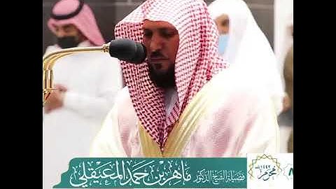 صوت ملائكي يبكي الحجر للقارئ ماهر المعيقلي || حالات واتس اب قرآن كريم