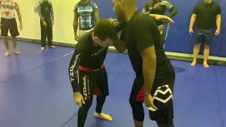 Inside Underhook to Ankle Pick | Version 1