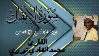 تلاوة هادئة من سورة الانفال اسمعها بصوت القارئ السنغالي محمد الهادي توري