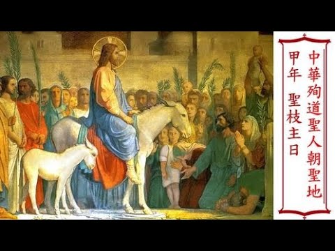 甲年 聖枝主日 彌撒直播 - YouTube
