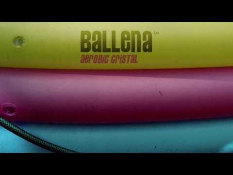 Video: Ballena De Cristal