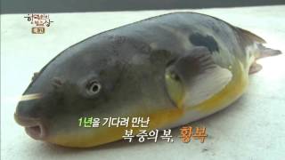 150514 한국인의밥상 예고 ㅣ KBS방송