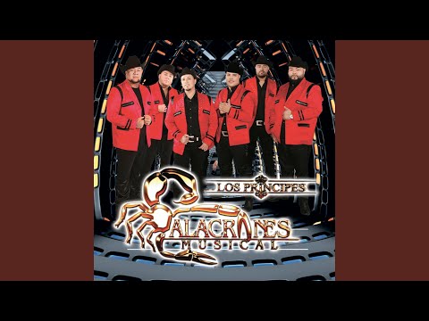 Putar Te Va Gustar - Alacranes Musical