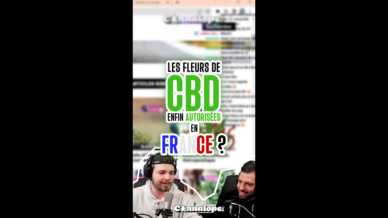 Les fleurs de CBD enfin AUTORISÉES en France ??