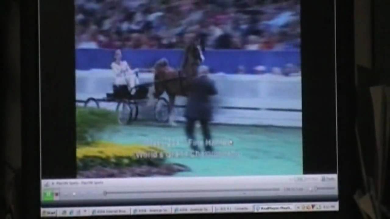 Fine Harness World Grand Championship