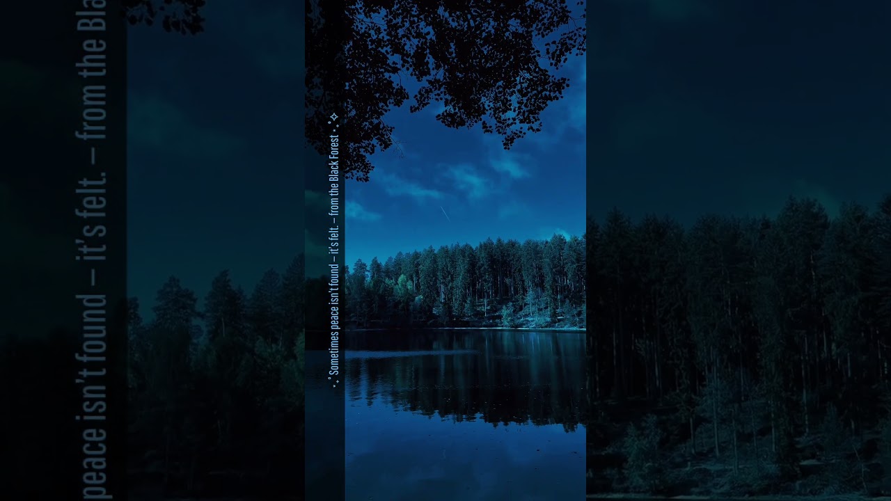 🌕 Night View •.* music & cinema for quiet nights alone ⋆₊˚✧ by Yurii Smyk • 