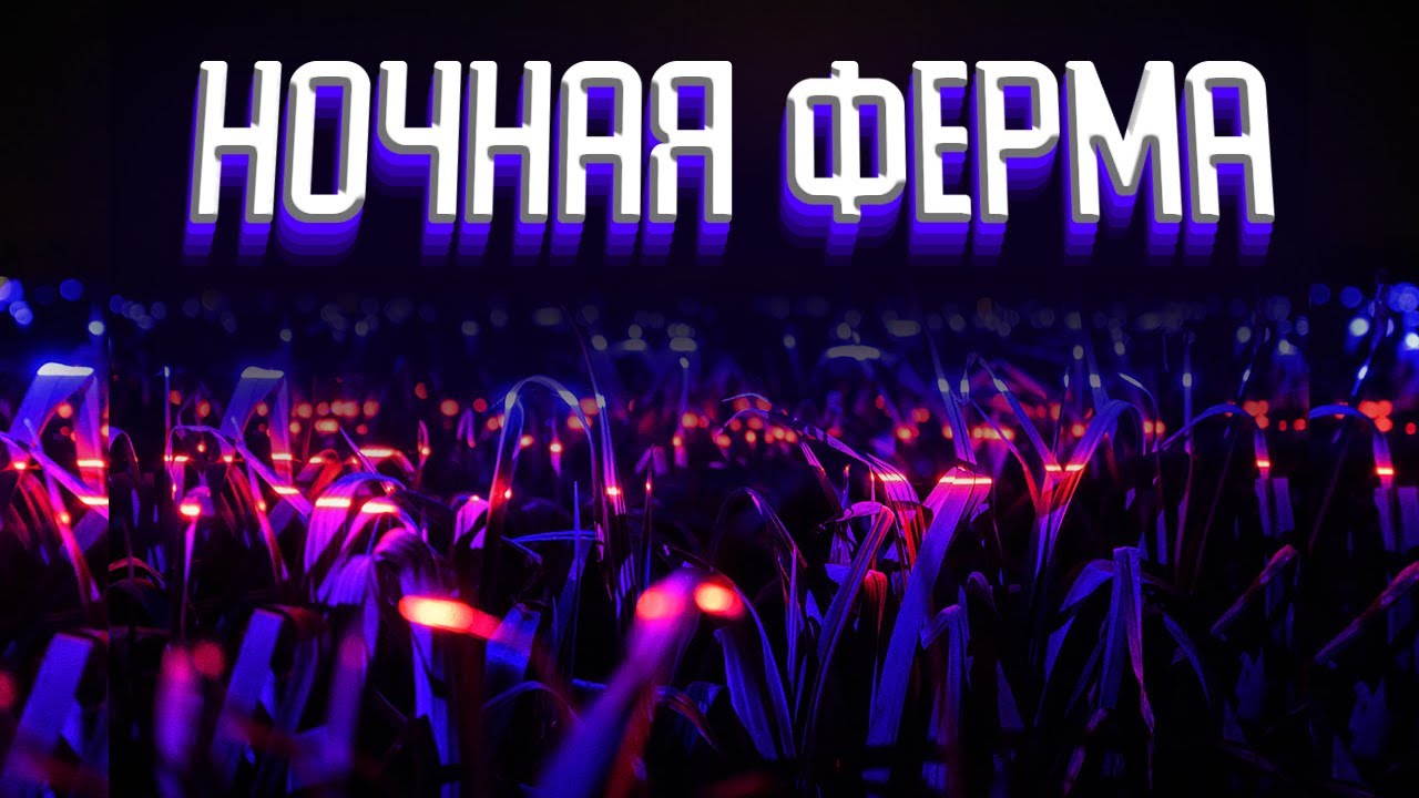 Светодиодный свет помогает растениям растениям (Проект GROW)