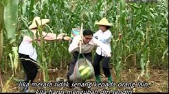 DAAI TV Ost. Guruku Sayang  - Durasi: 2:14. 