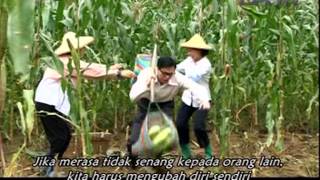 DAAI TV Ost. Guruku Sayang