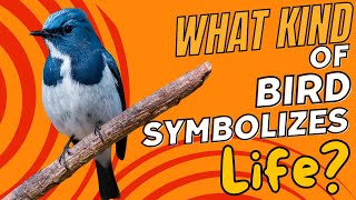 What Kind of Bird Symbolizes Life? 🕊️✨