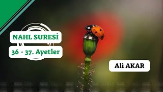 Nahl Suresi: 36 - 37.Ayetler Ali Akar| Tefsir Dersleri