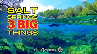 Salt Springs: 3 Big Things to know before you go!