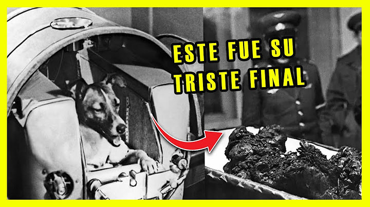 🔴This was the agonizing journey of Laika the dog in space. They lied to us for decades.🚀