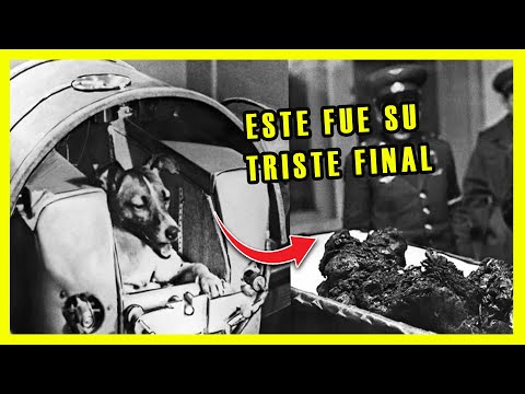 🔴Así Fue la AGÓNICA travesía de la perrita LAIKA en el ESPACIO nos mintieron durante DÉCADAS🚀