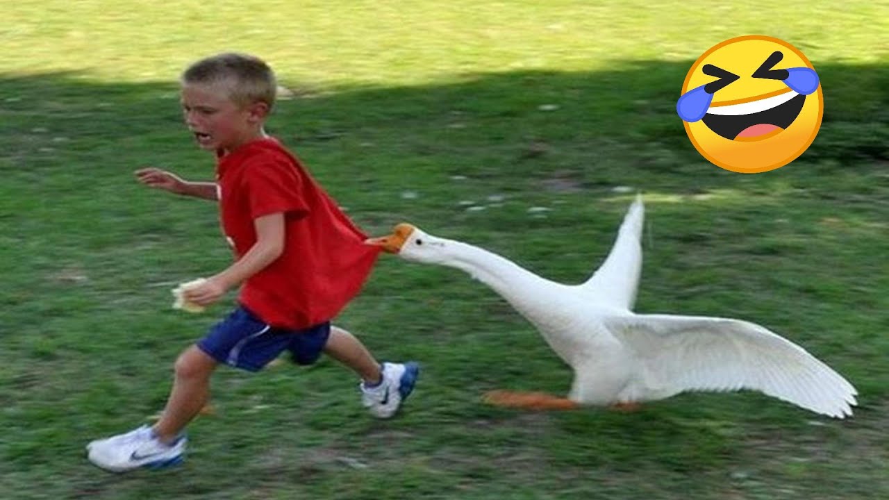 Best Funny Videos Of 2025 😂 TRY NOT TO LAUGH Funny Videos #9