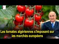  tomates cerises  lalgrie veut tre prsente sur le march europen