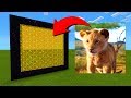 How To Make A Portal To The Simba Dimension in Minecraft!