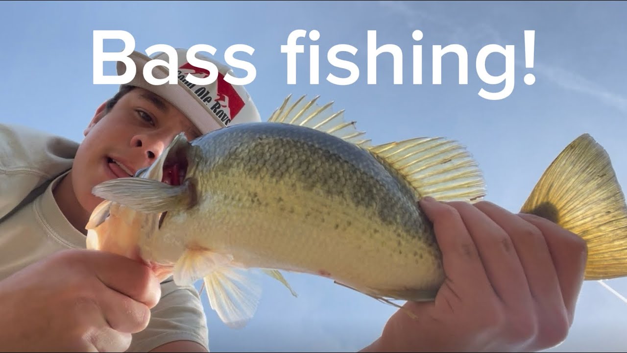 Bass fishing in my neighbors stocked pond pt1*