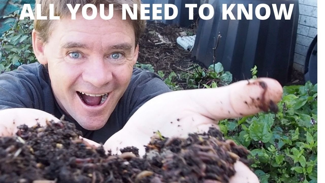 Червячное разведение: от А до Я. Начните сегодня правильно!