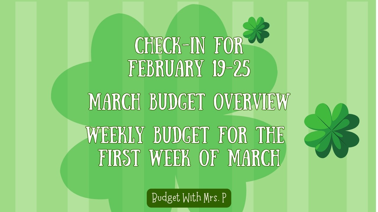 Weekly Check-in Feb 19-25 | March Budget Overview | Budget With Me Feb 26-Mar 4 | Zero Based Budget